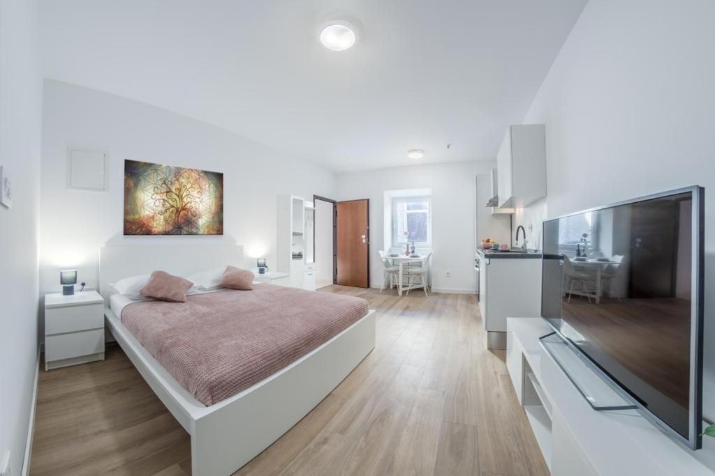 Apartment Klara Free Parking, Center Pula Extérieur photo