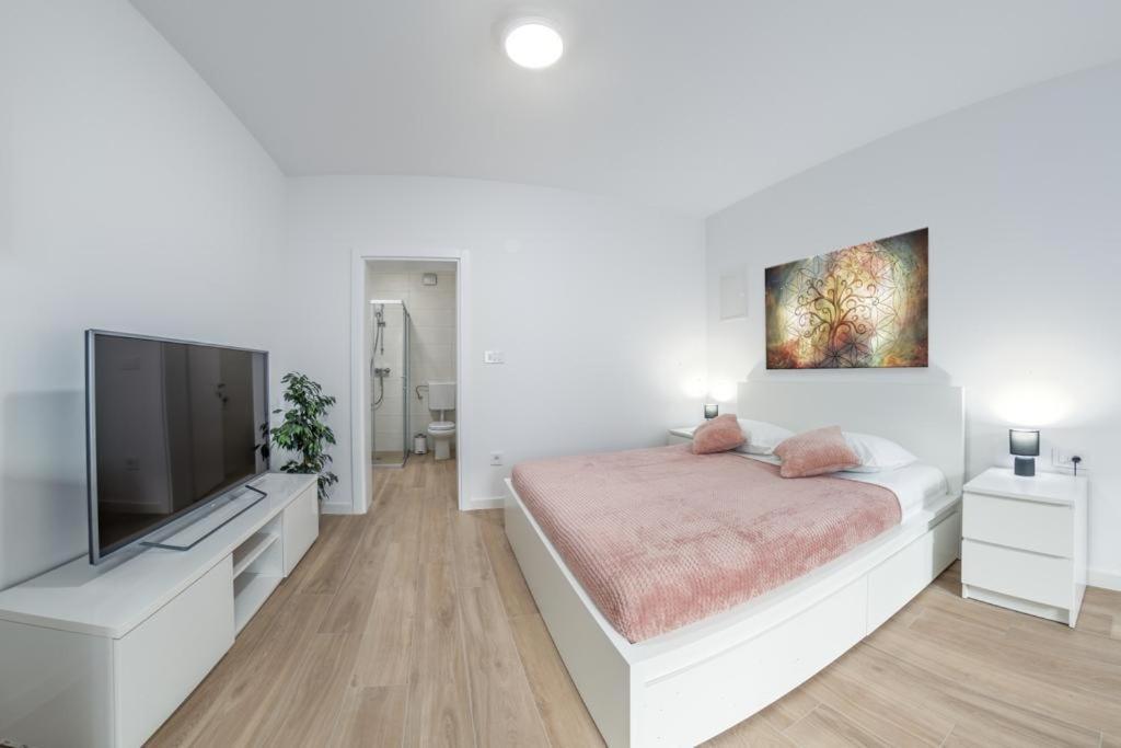 Apartment Klara Free Parking, Center Pula Extérieur photo